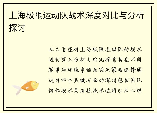 上海极限运动队战术深度对比与分析探讨